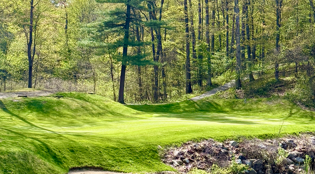 Scenic golf hole surrounded by trees at Copper Hills Golf Club, a 27-hole course ideal for charity golf outings in Oakland County, MI.