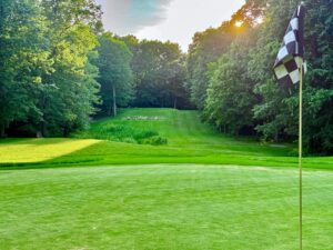 golf fairways and golf green with flag