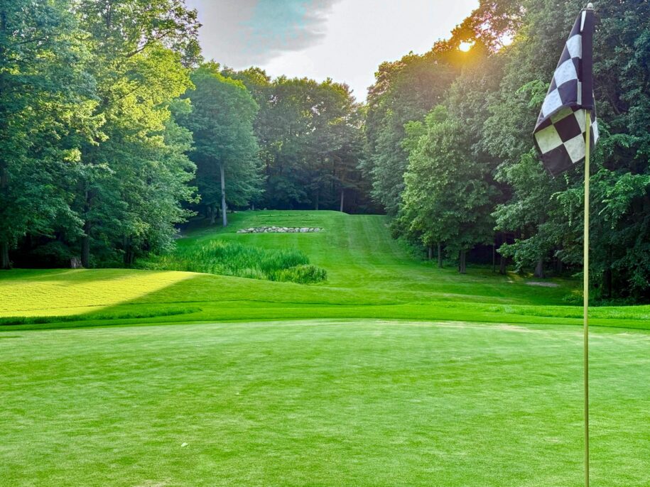 golf fairways and golf green with flag